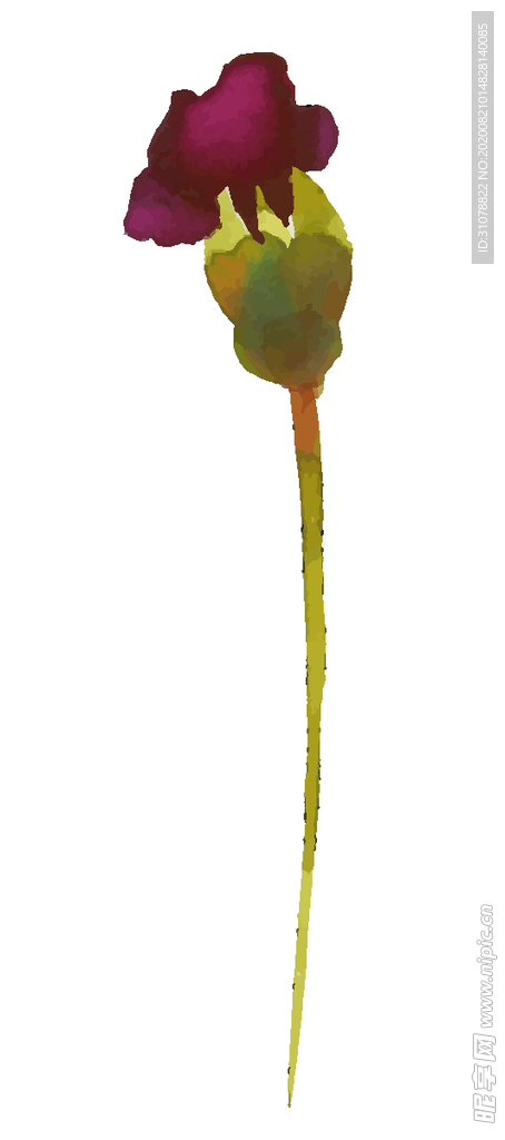 水彩花朵装饰图案