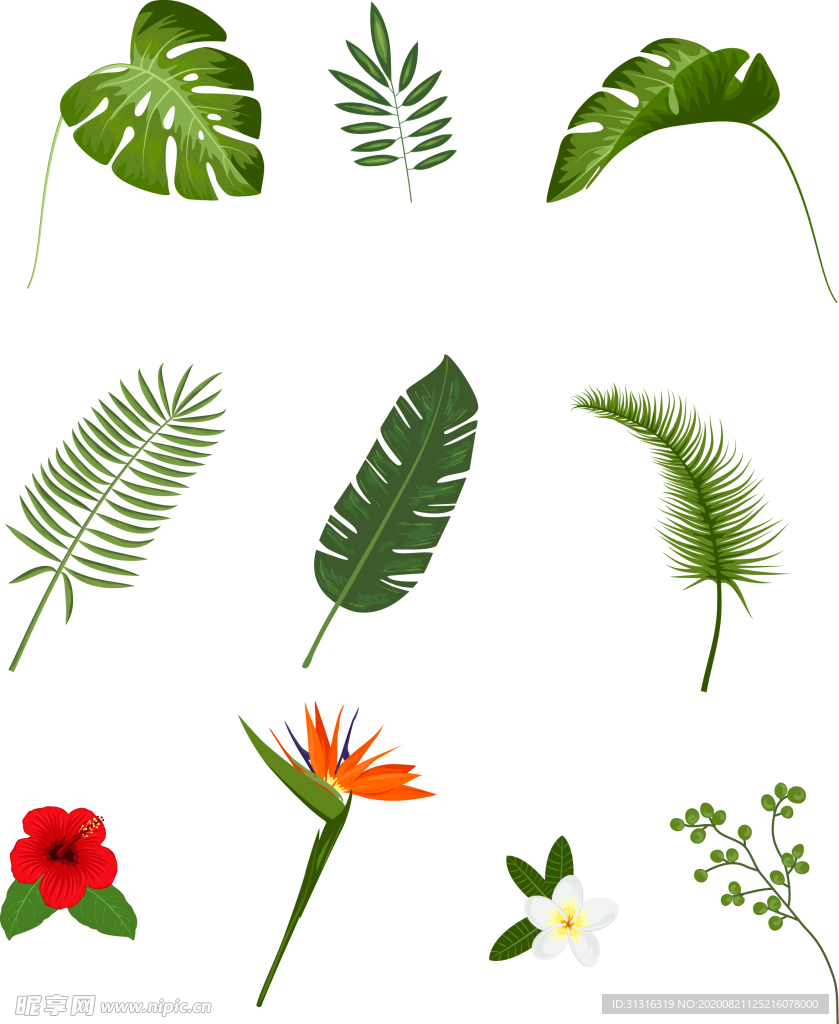 草类