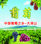 葡萄