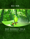 中国风竹林风景绿色文艺宣传海报