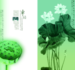 古风莲花荷叶创意文案宣传手册