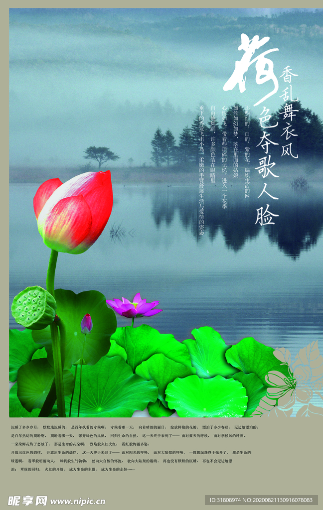 荷花池塘风景创意文案海报