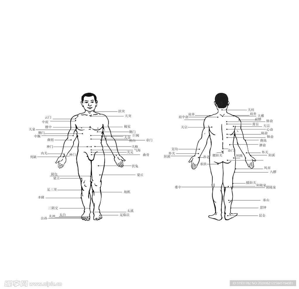 人穴位标注图