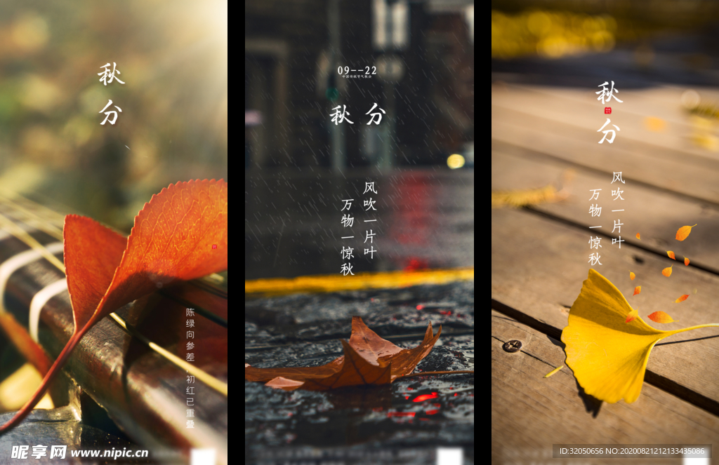 简约秋分底图设计