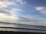 夕阳