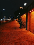夜景