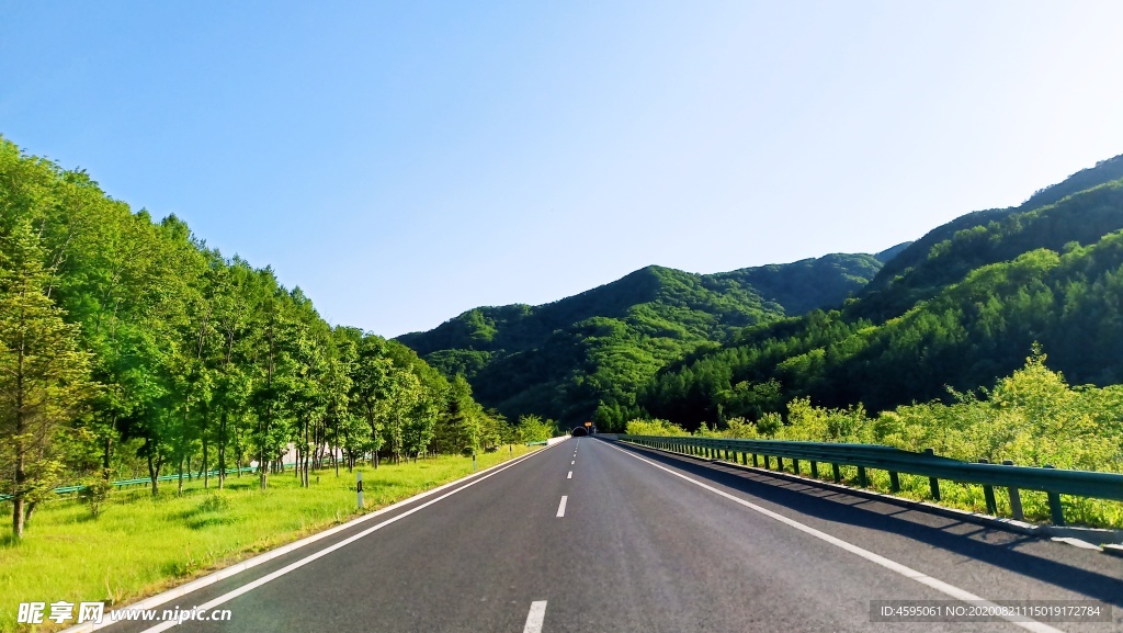 绿意浓浓的高速公路