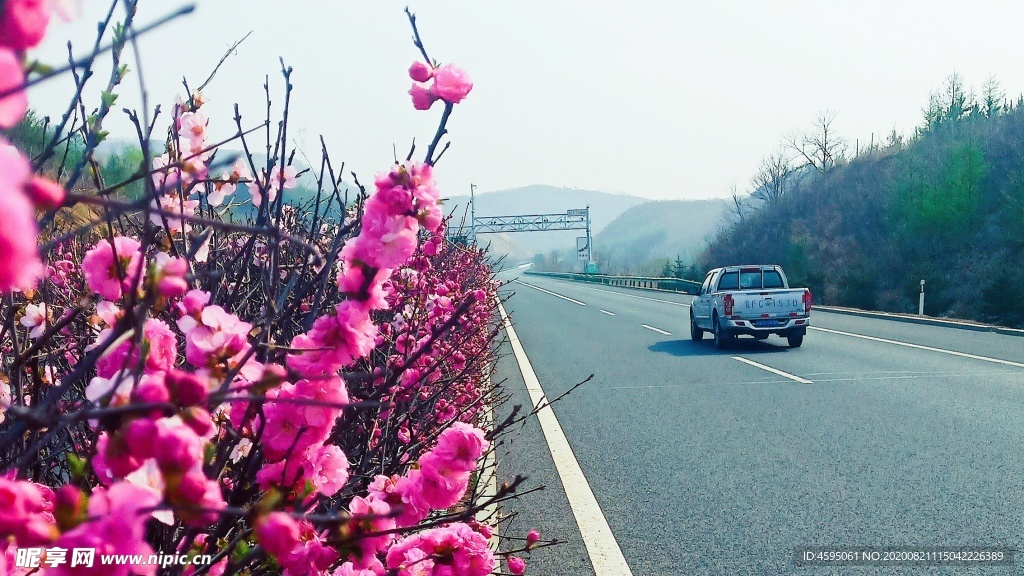 美丽的高速公路春天