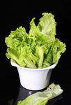 生菜