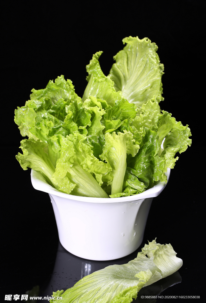 生菜