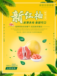 柚子