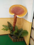 大灵芝