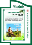 学校造型