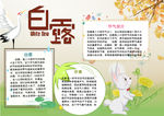白露小报