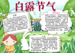 白露小报