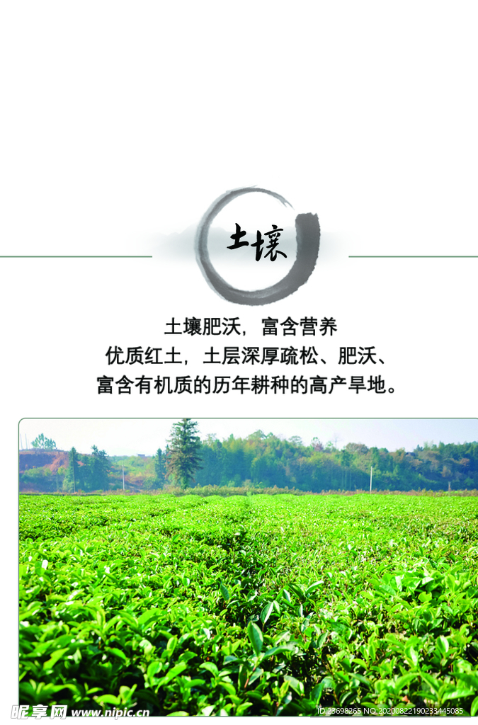 茶宣传茶文化