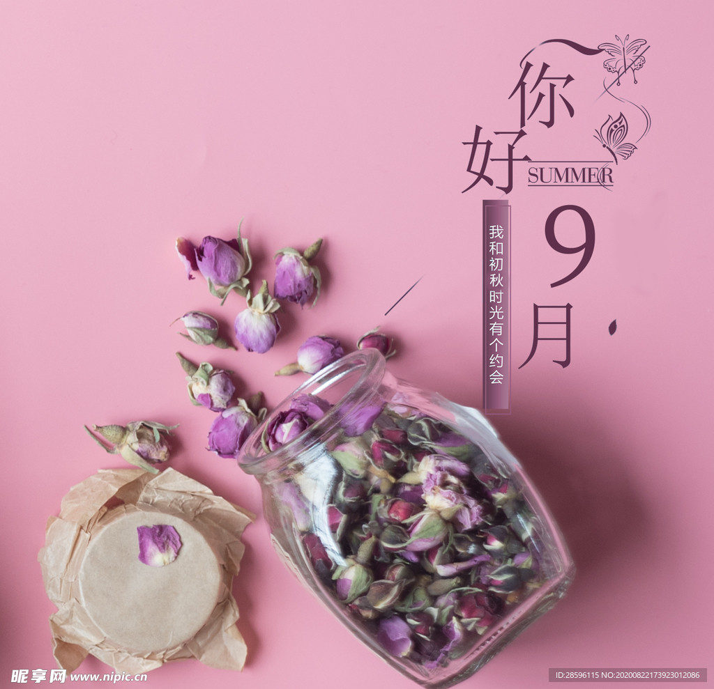 九月你好