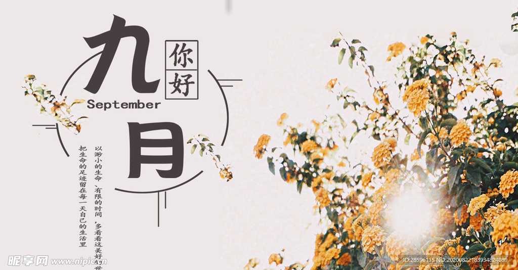 九月你好