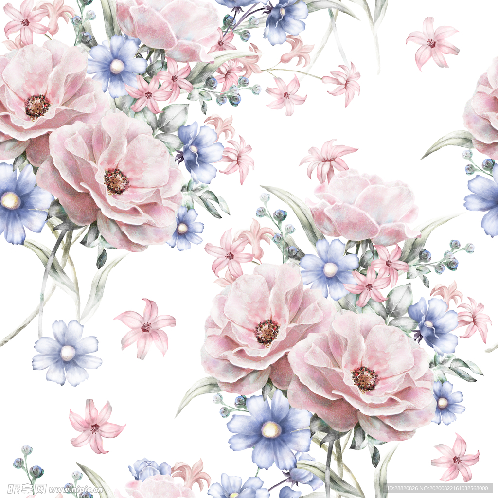 花朵 花卉