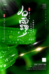 白露节气海报