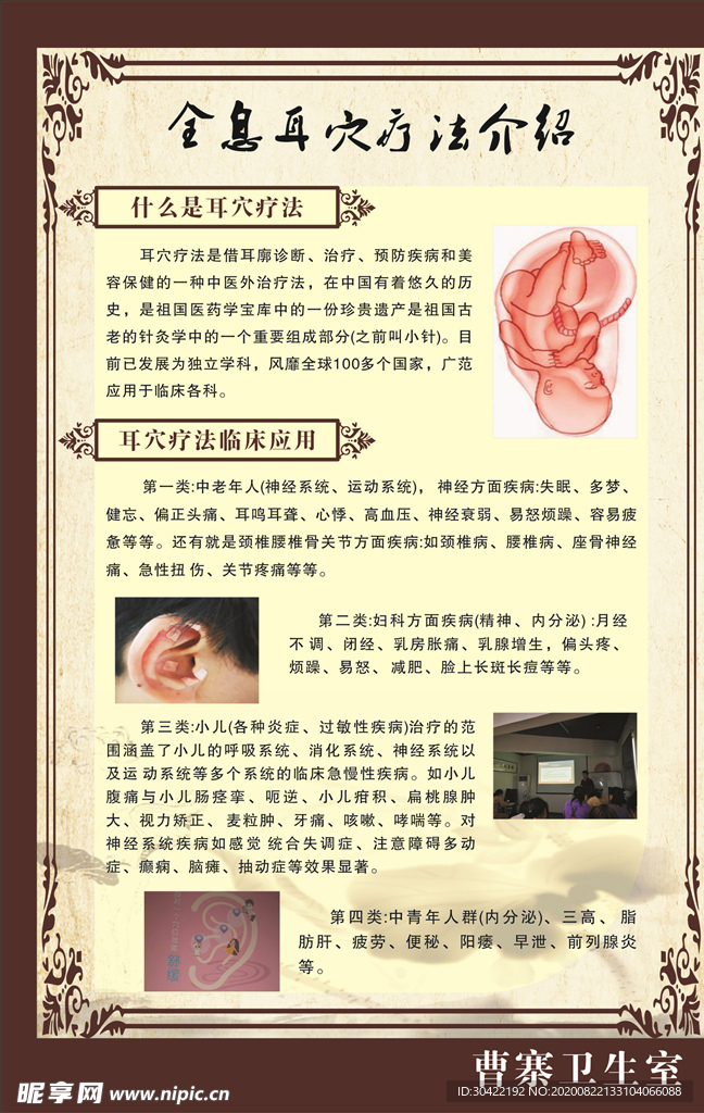 全息耳穴疗法