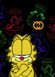 大牌加菲猫
