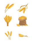 金黄色小麦素材元素