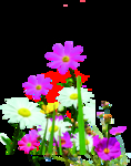 小花