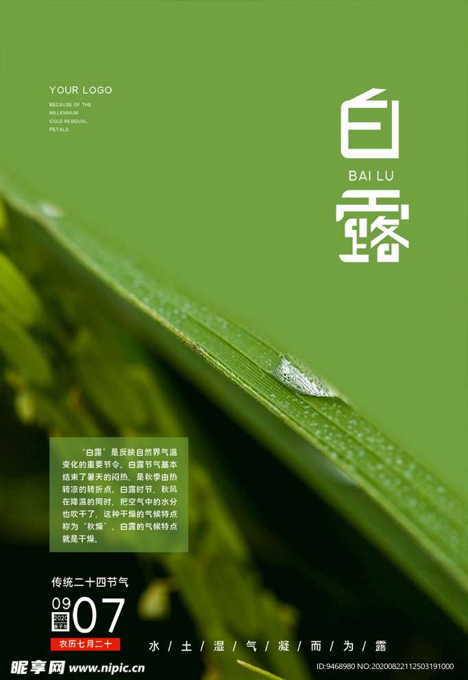 白露