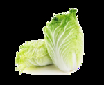 白菜