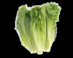 火锅菜