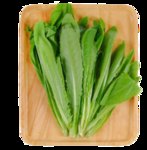 油麦菜