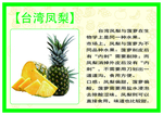 凤梨简介