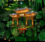 夜景素材  植物素材