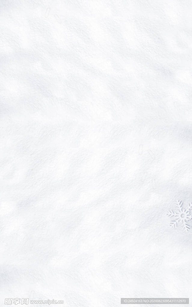 雪地