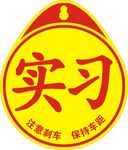 实习 矢量