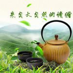 日照绿茶 普洱 花茶