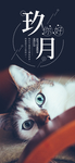 九月你好