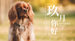 九月你好