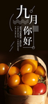 九月你好