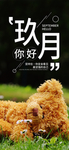 九月你好