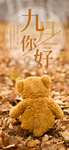 九月你好