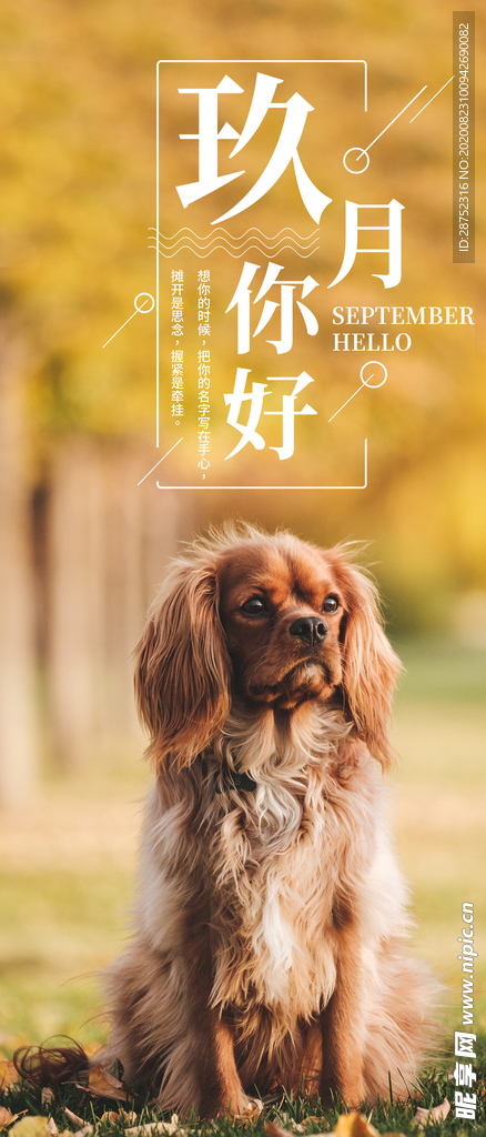 九月你好