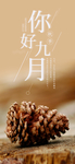九月你好
