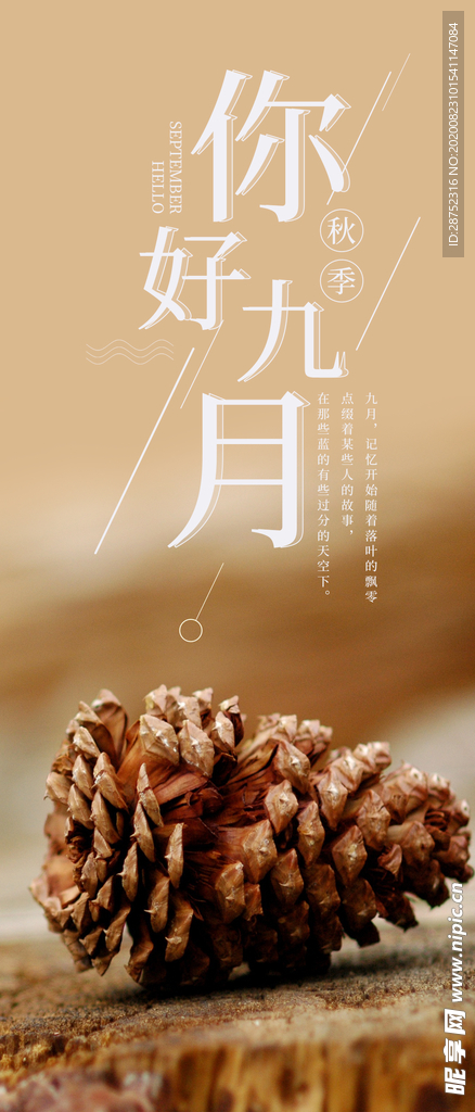 九月你好