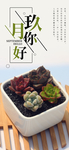 九月你好