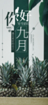 九月你好