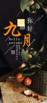 九月你好