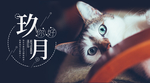 九月你好