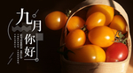 九月你好